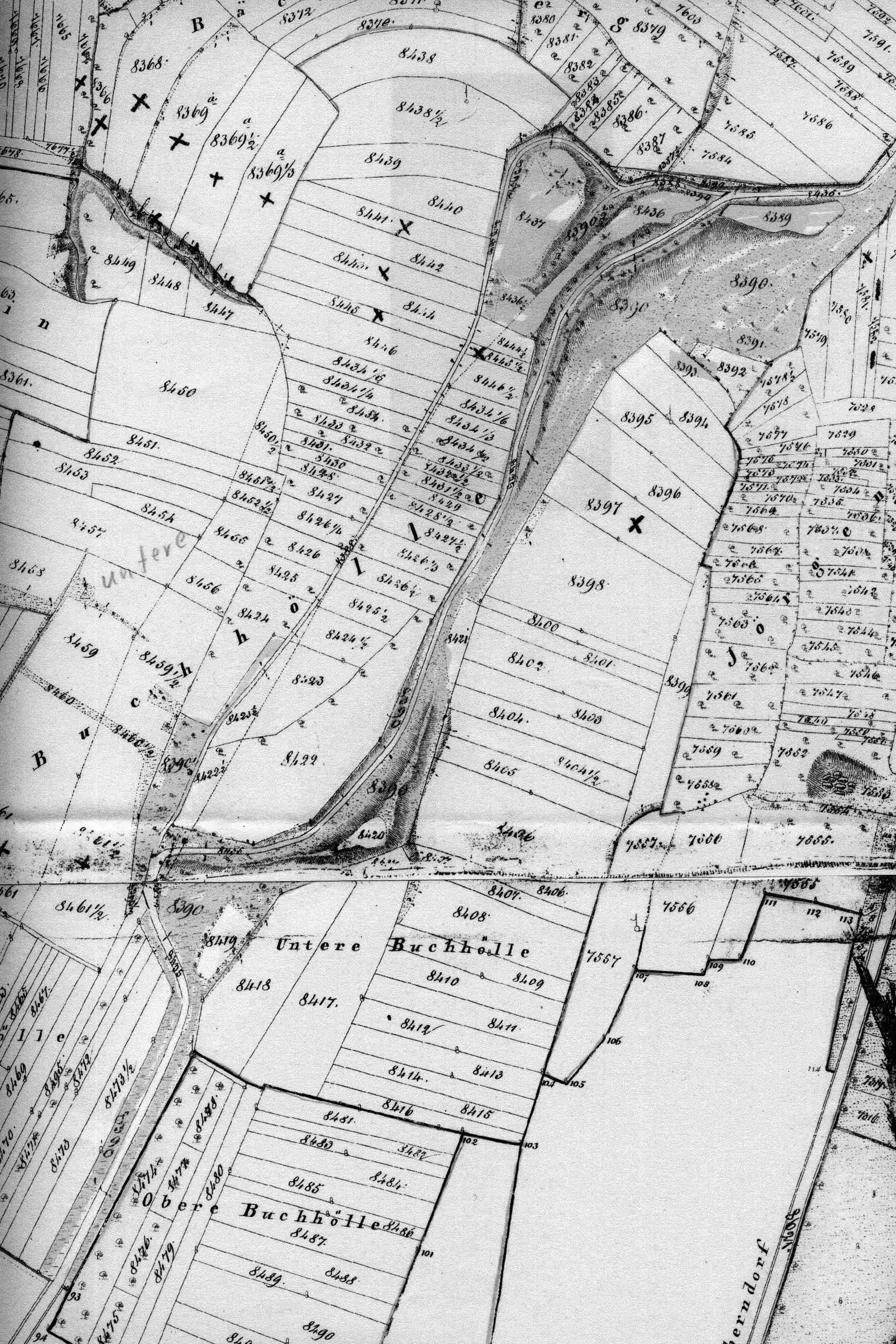 Flurkarte Schweinetrieb grau