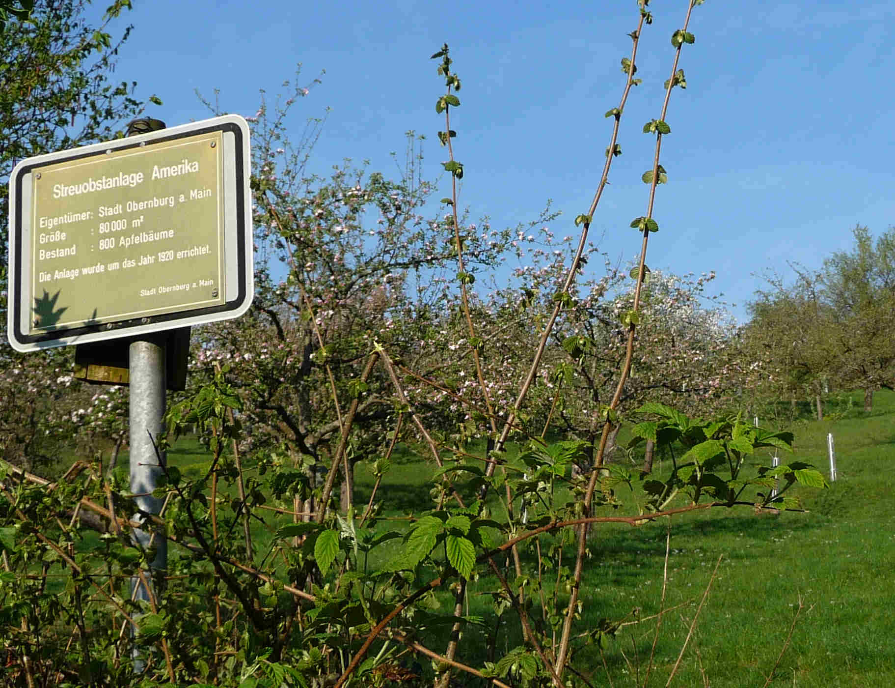 Keltern Amerika2 (2)