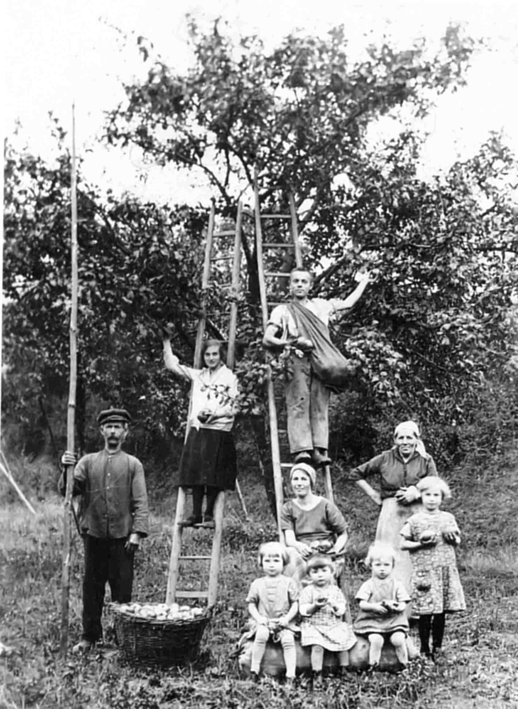 Keltern Familie am Baum