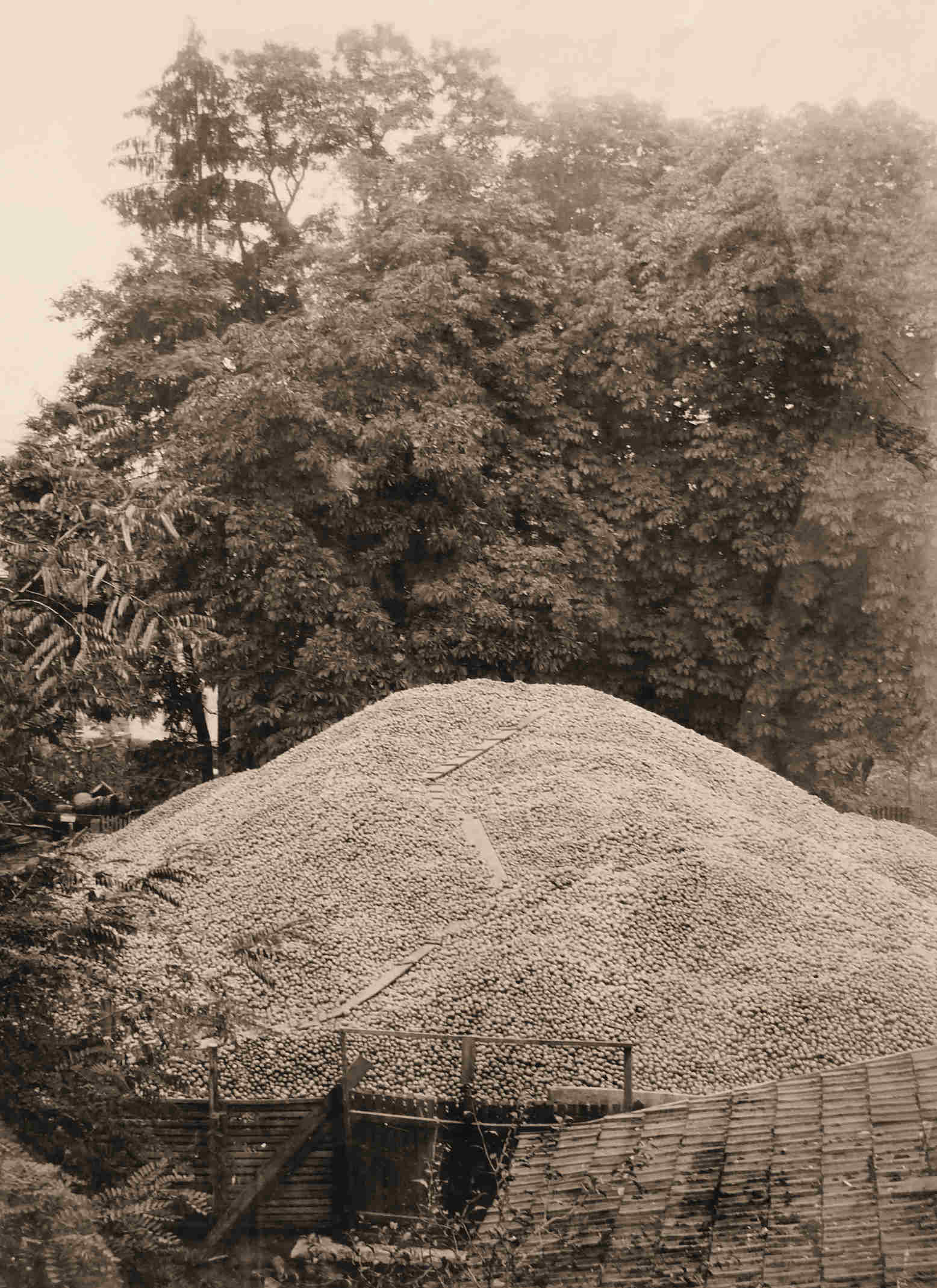 Keltern OVGO Berg Aepfel