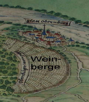 08_1 Mainzer Risse + Plne 46 Weinbau