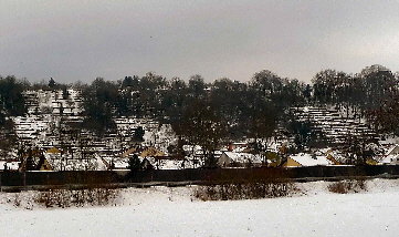 08_2 Weinberge Mainhöllenberg im Schnee 2010