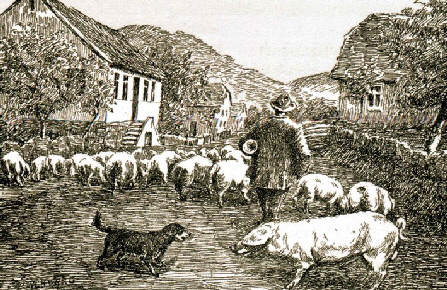 09_1 Schweinetrieb Dr Wehsarg Ausschnitt