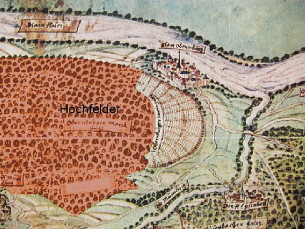 10_1 Hochcker Felder eingefrbt