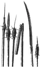 17_4 Waffen Bauernkrieg