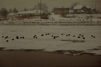2017_34_03 Bahnhofstra�e Stellwerk Bahn�bergang Main