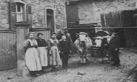 33_6  Bauer Lindenstrasse 